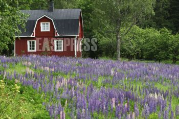 EA342076, Eastpress , Porvoo, Finland
